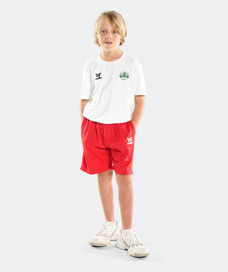 TCE Gröbenzell Team Shirt